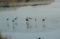 21.10.2012 Saline di Priolo (28)